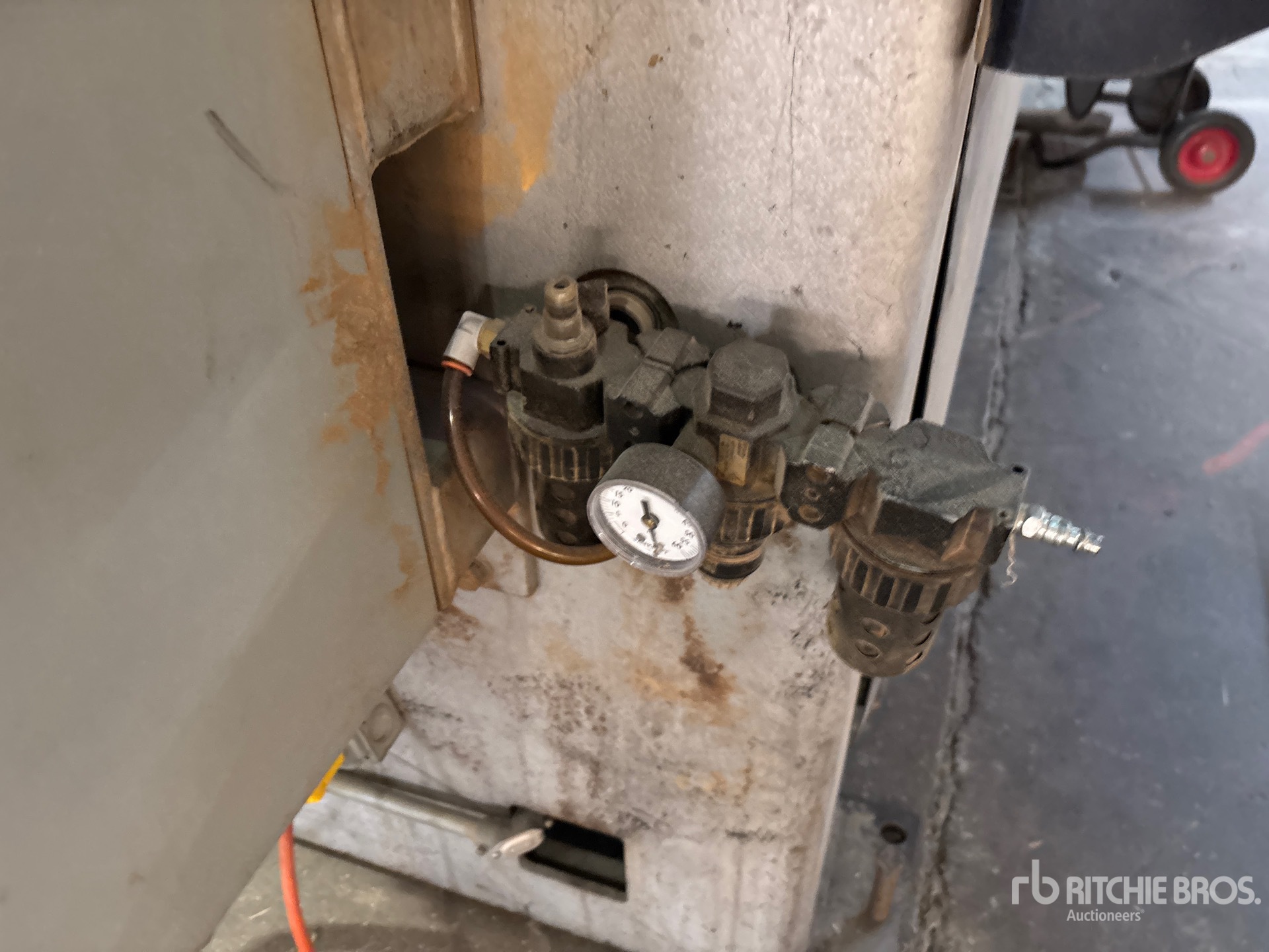 General Appearance with