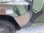 General Appearance with Paint