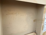 General Appearance with Paint