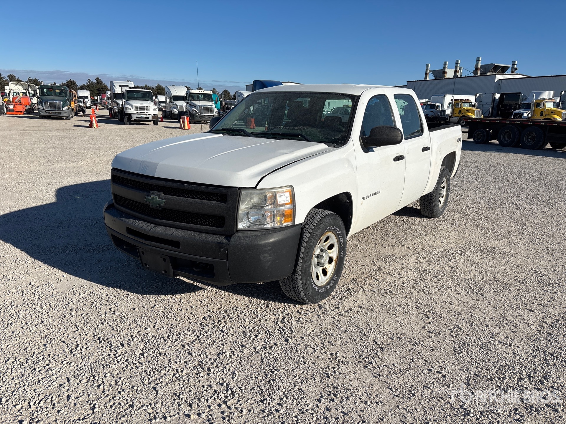 General Appearance with Spin