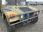 General Appearance with Paint
