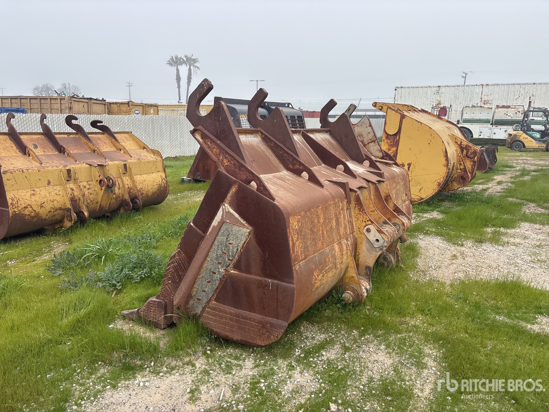 General Appearance with Zdjęcie, lewy dolny róg