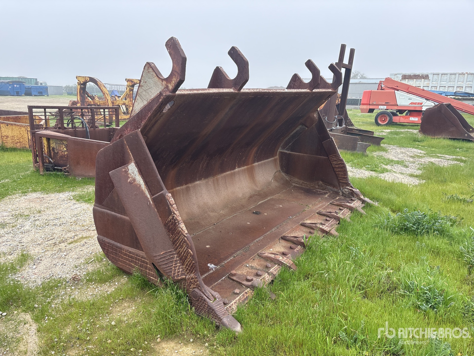 General Appearance with Zdjęcie, prawy górny róg