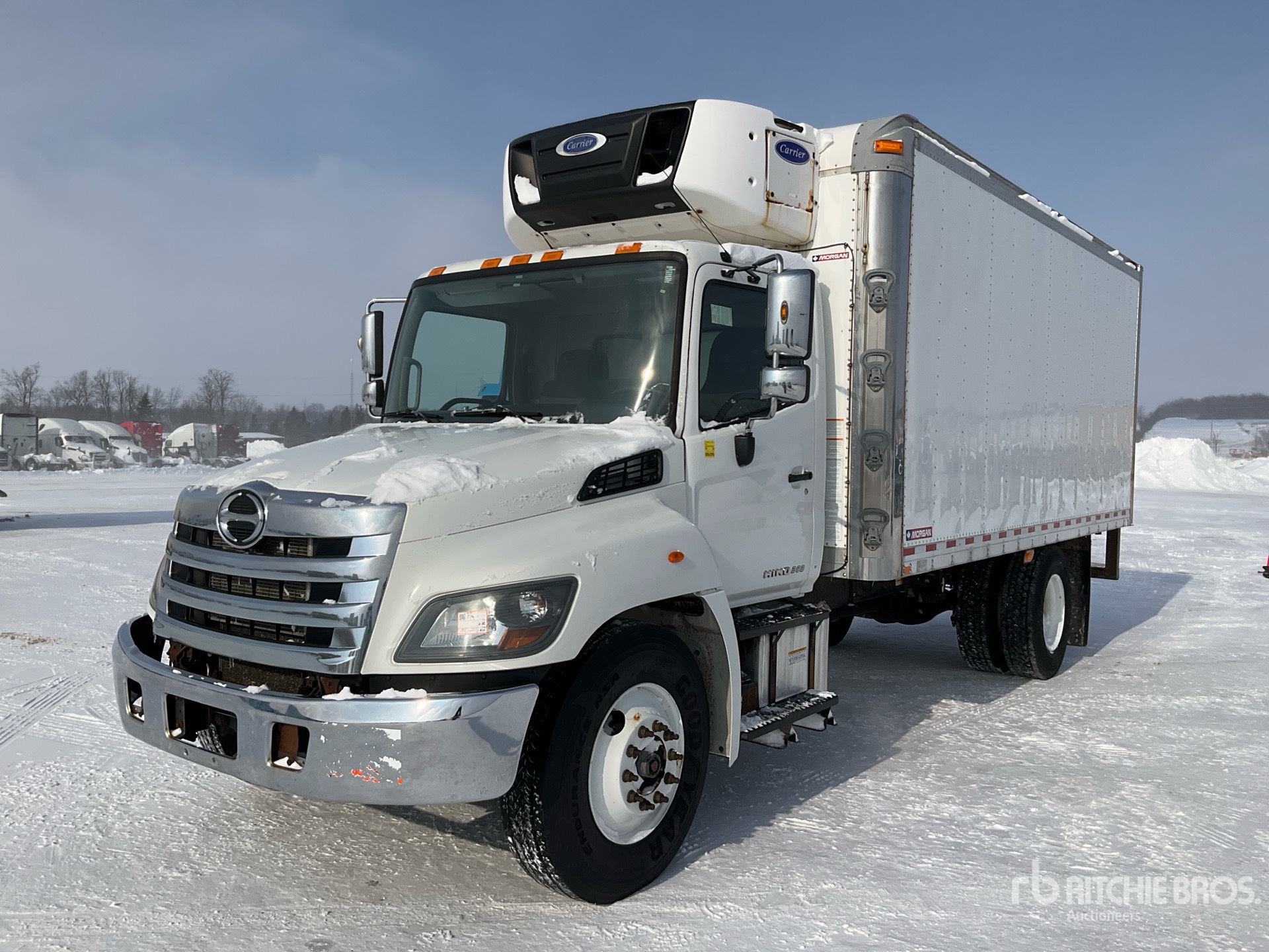 General Appearance with Spin