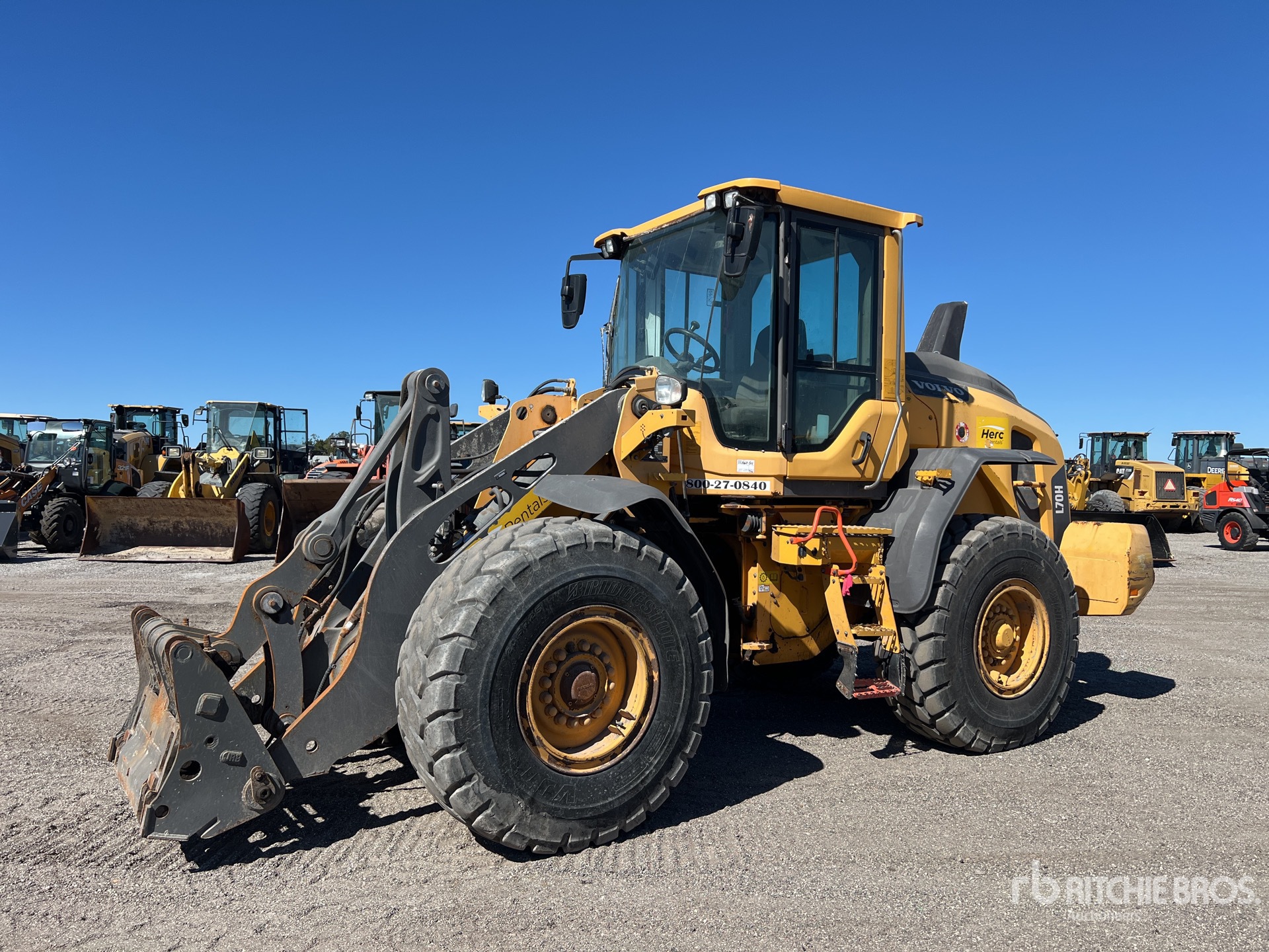 General Appearance with Spin