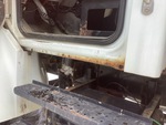 General Appearance with Paint