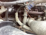 Engine with Exhaust System