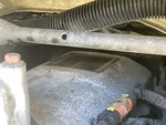 Engine with Emission Label
