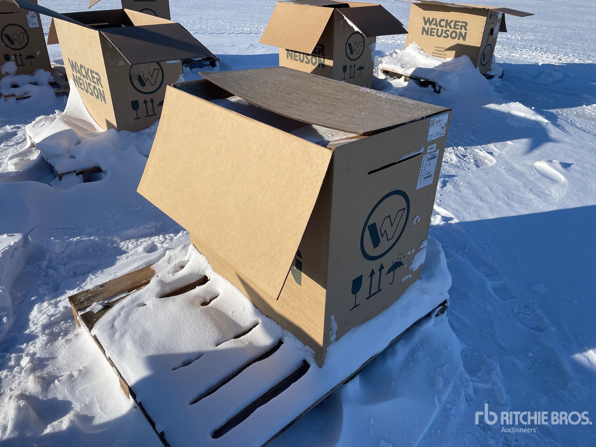 General Appearance with Imagen: esquina trasera derecha