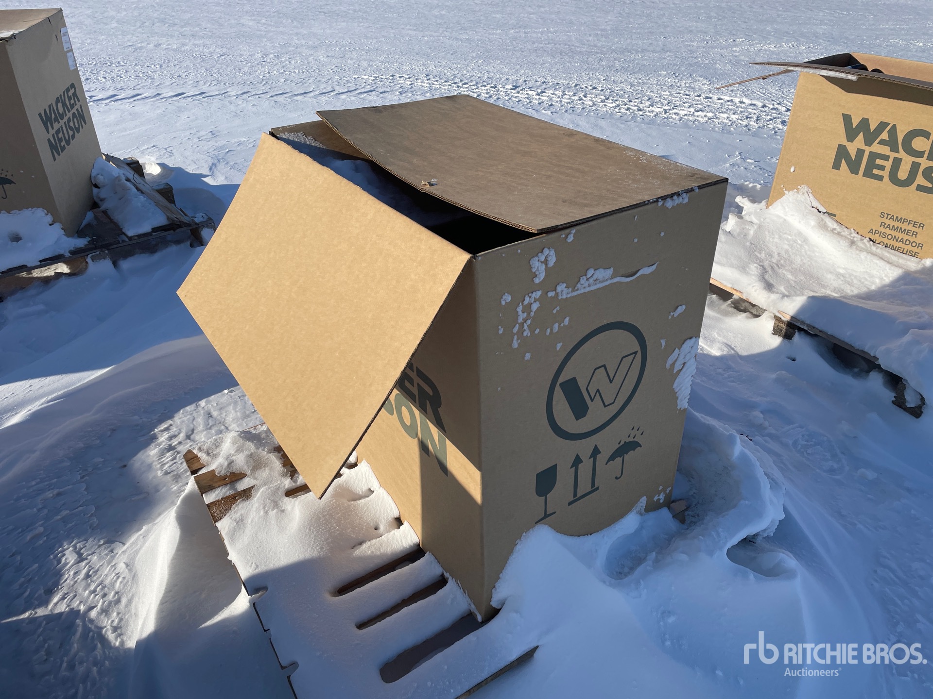 General Appearance with Imagen: esquina trasera derecha