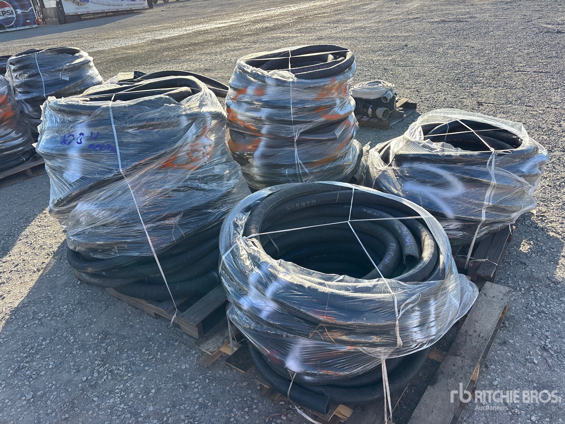 General Appearance with Bild, Ecke vorne links