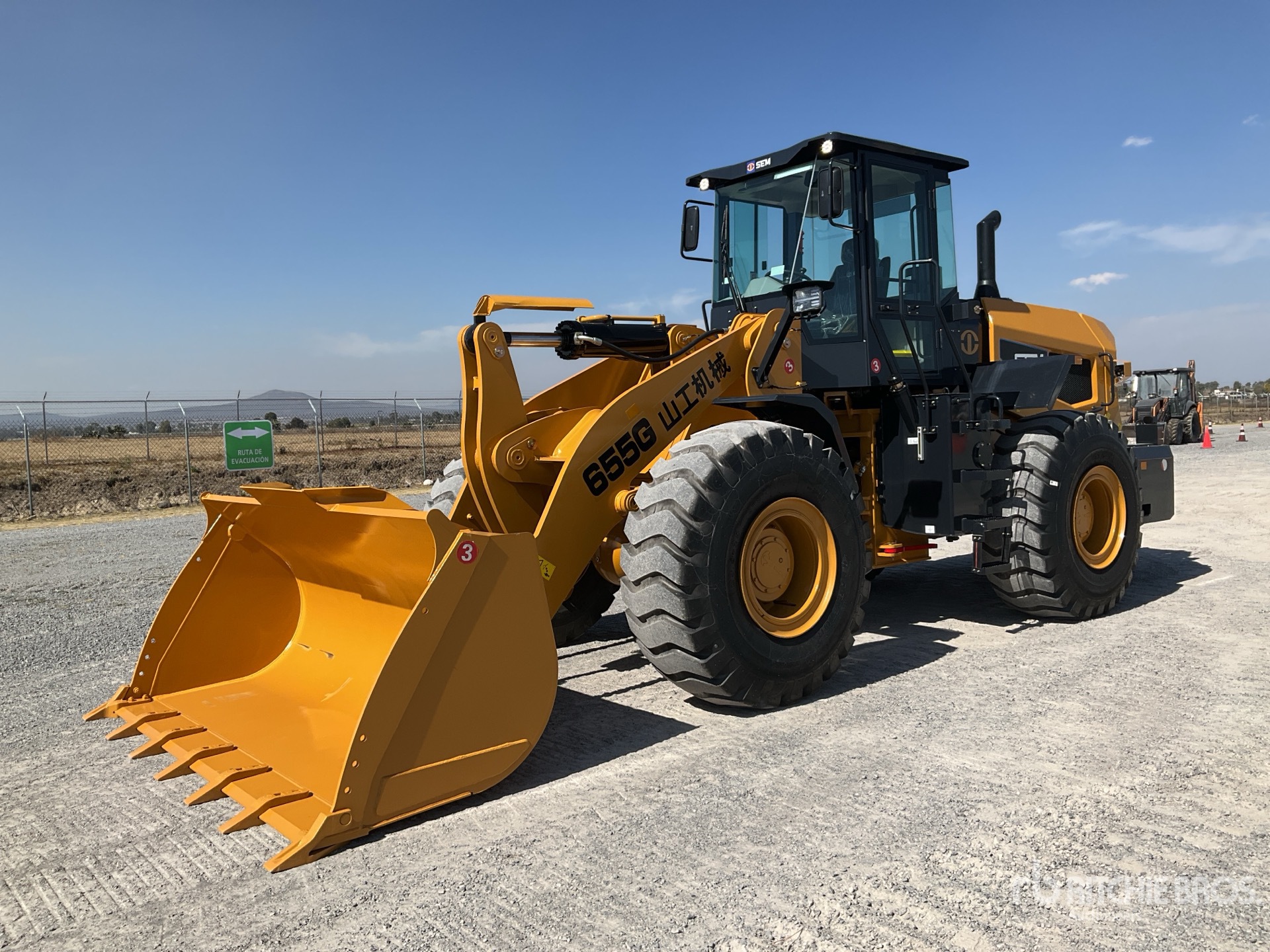 General Appearance with Spin