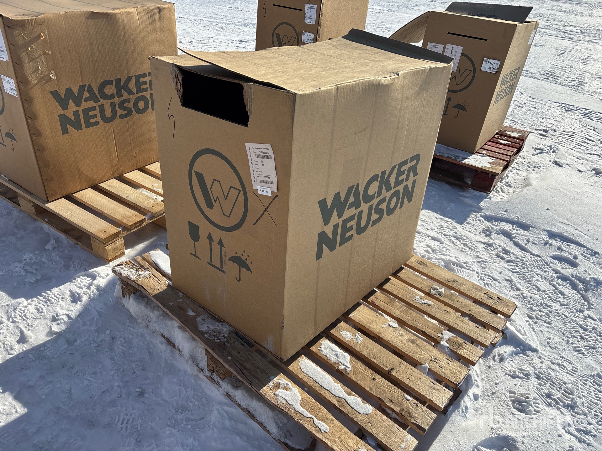 General Appearance with Zdjęcie, prawy dolny róg