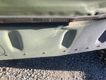 General Appearance with Paint