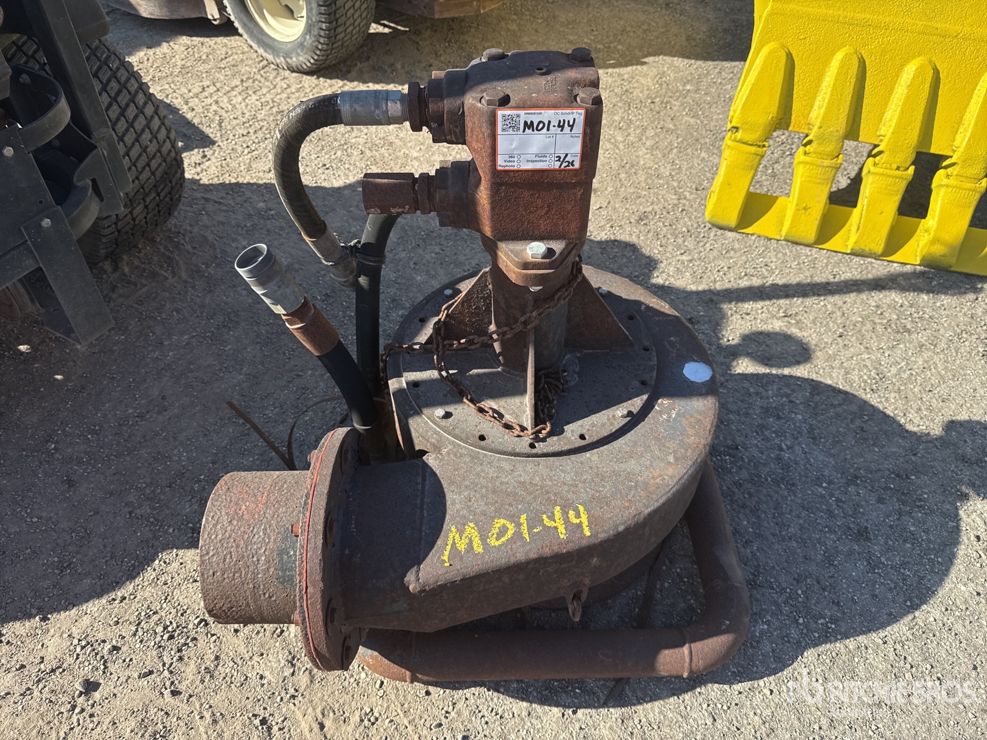 General Appearance with