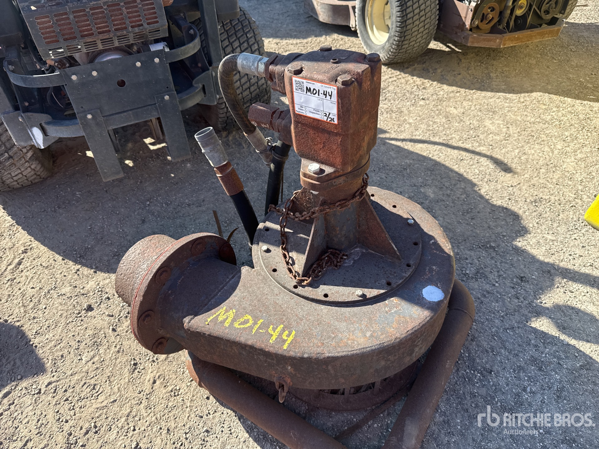 General Appearance with Bild, Ecke vorne links