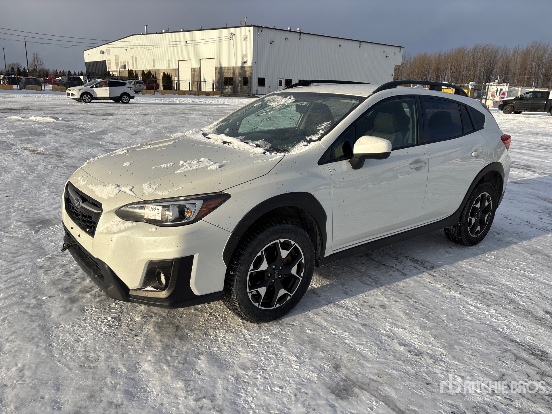 General Appearance with Bild, Ecke vorne links