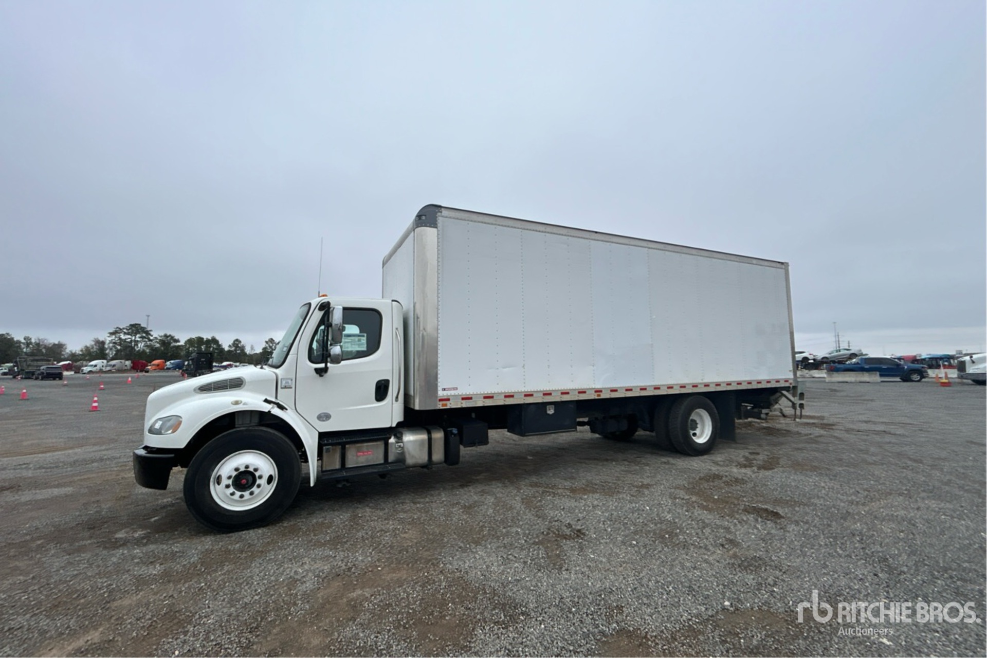 General Appearance with Spin