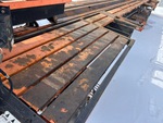 General Appearance with Paint