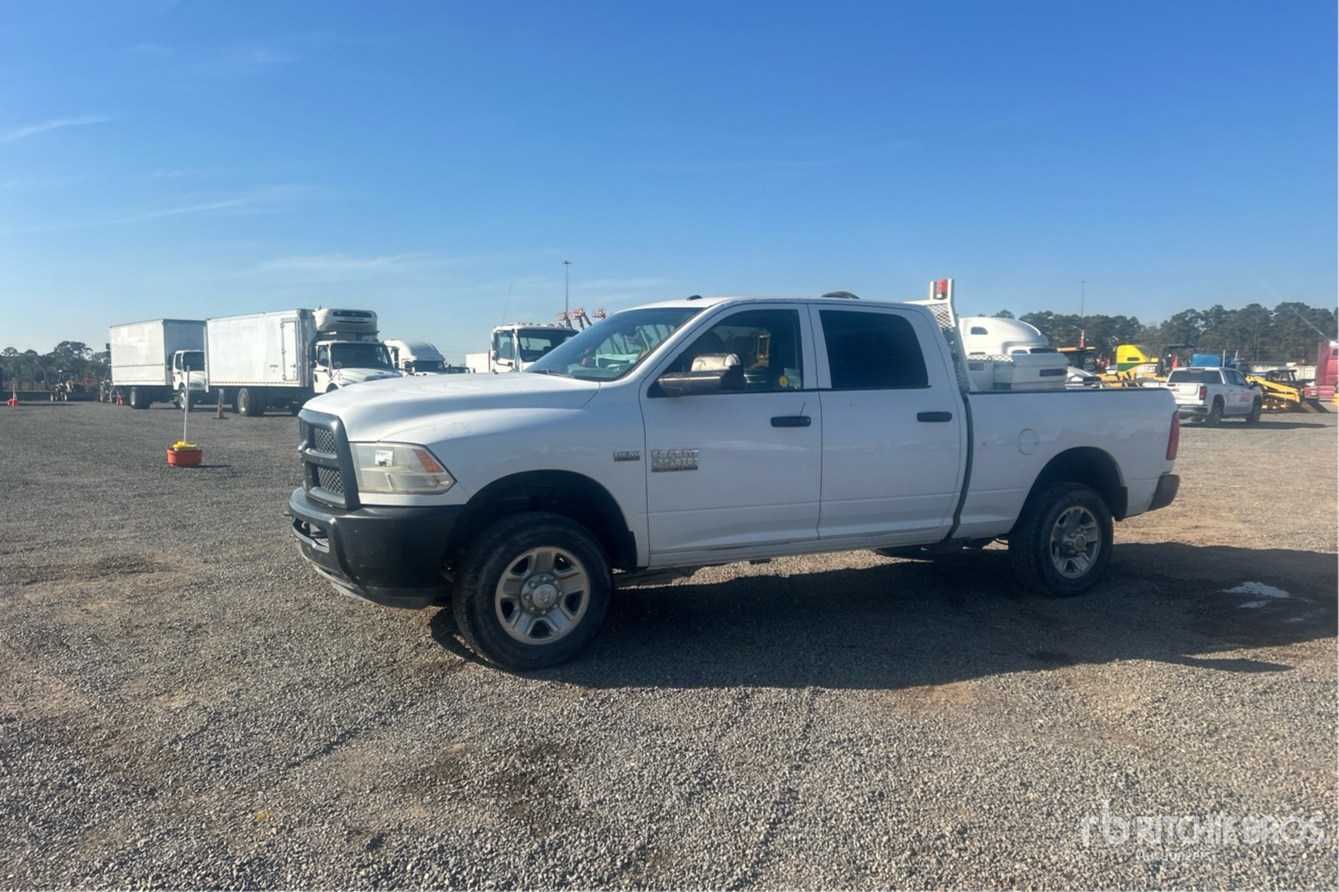 General Appearance with Spin