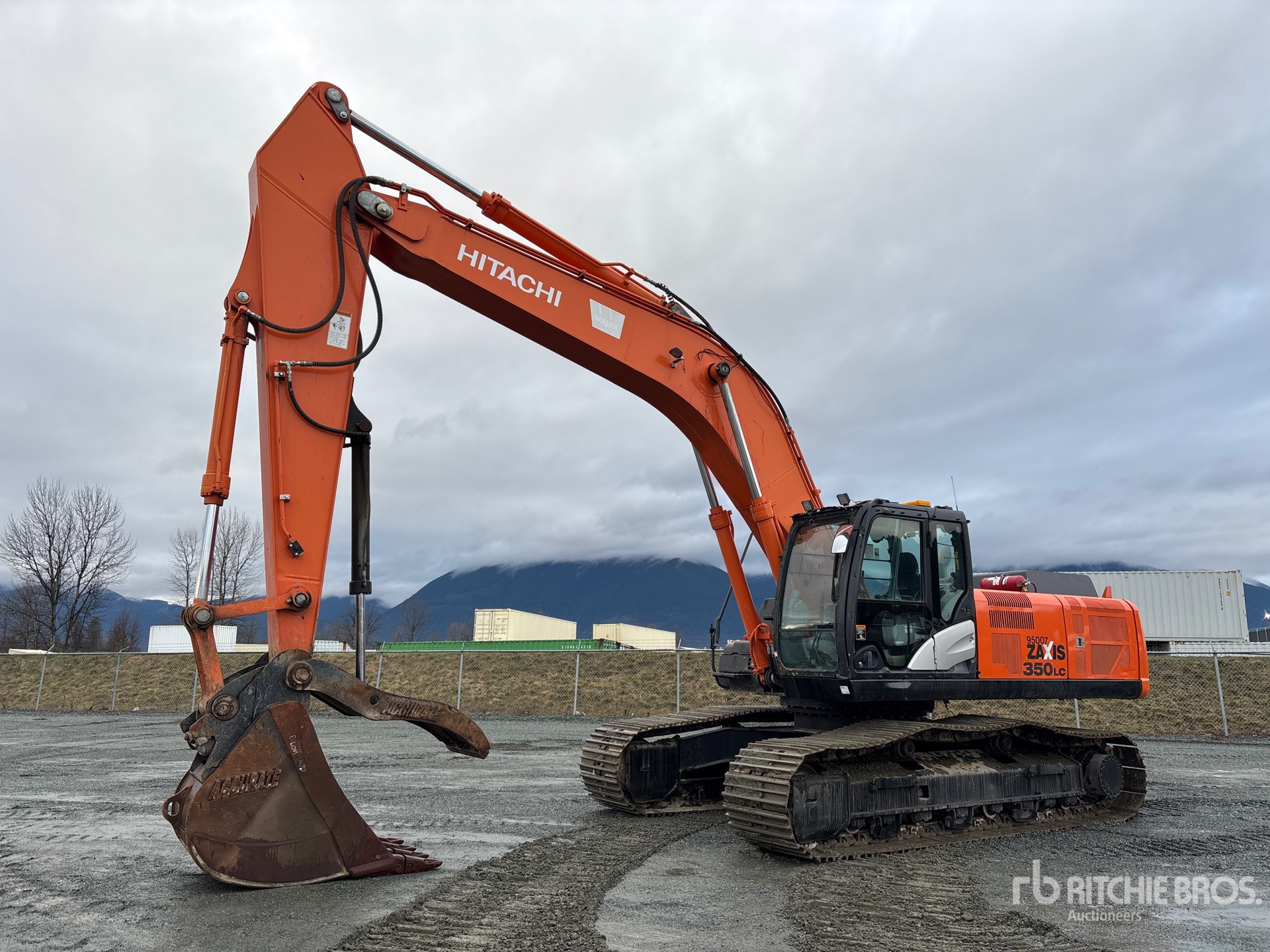 General Appearance with Spin