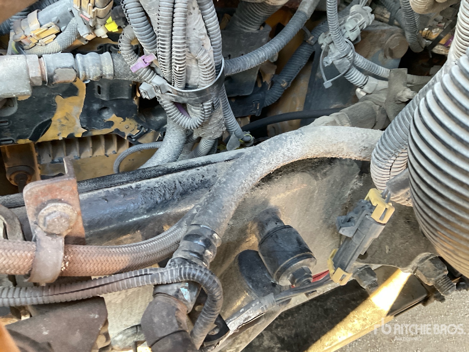 General Appearance with Second Serial Number/VIN Photo