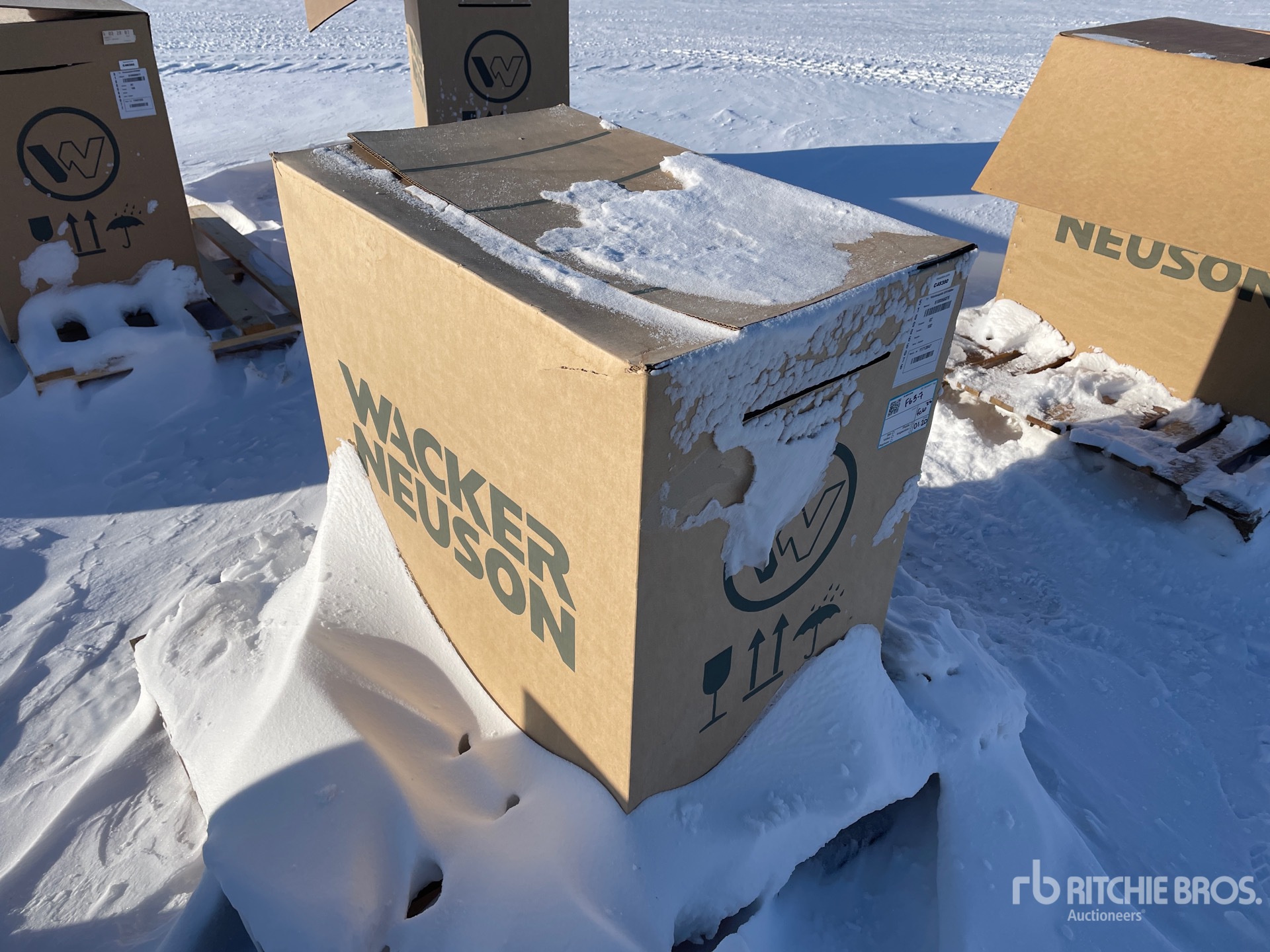 General Appearance with Imagen: esquina trasera derecha