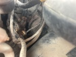 Motor with Oil Leaks