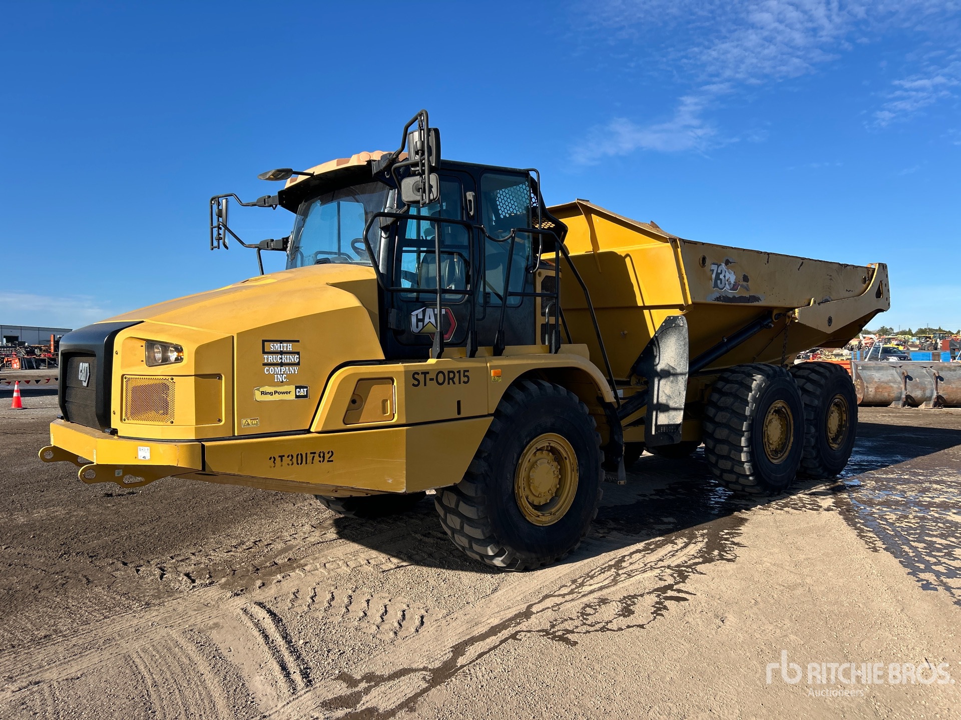 General Appearance with Spin