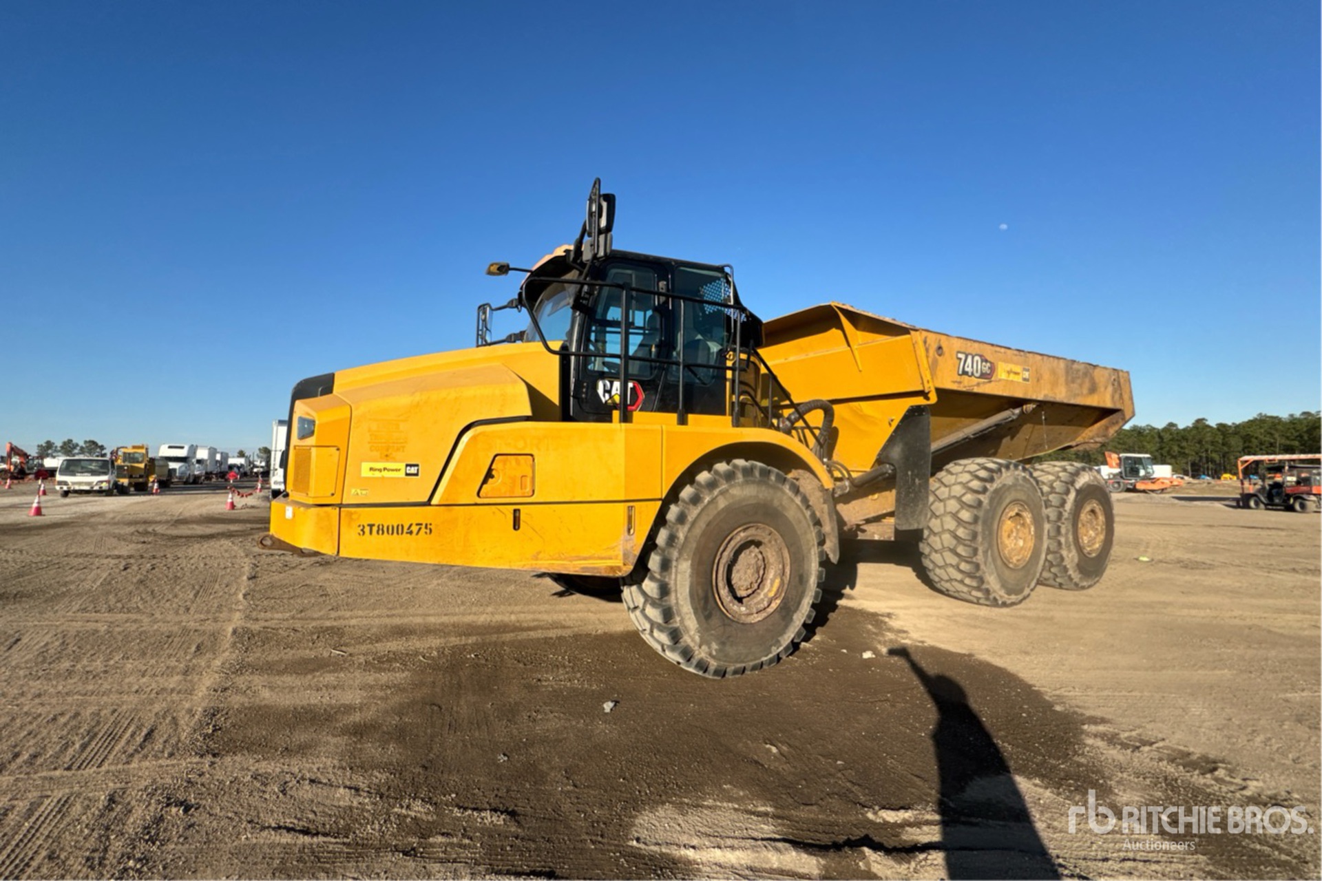 General Appearance with Spin