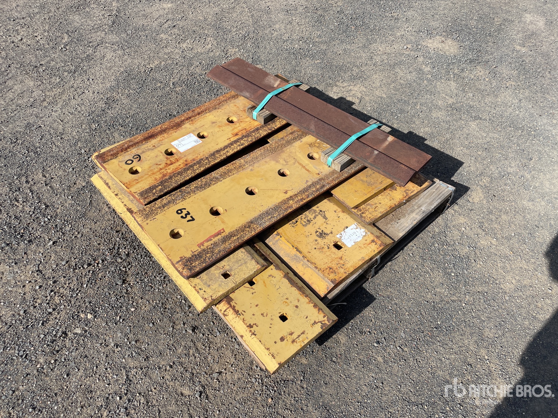 General Appearance with Zdjęcie, lewy dolny róg