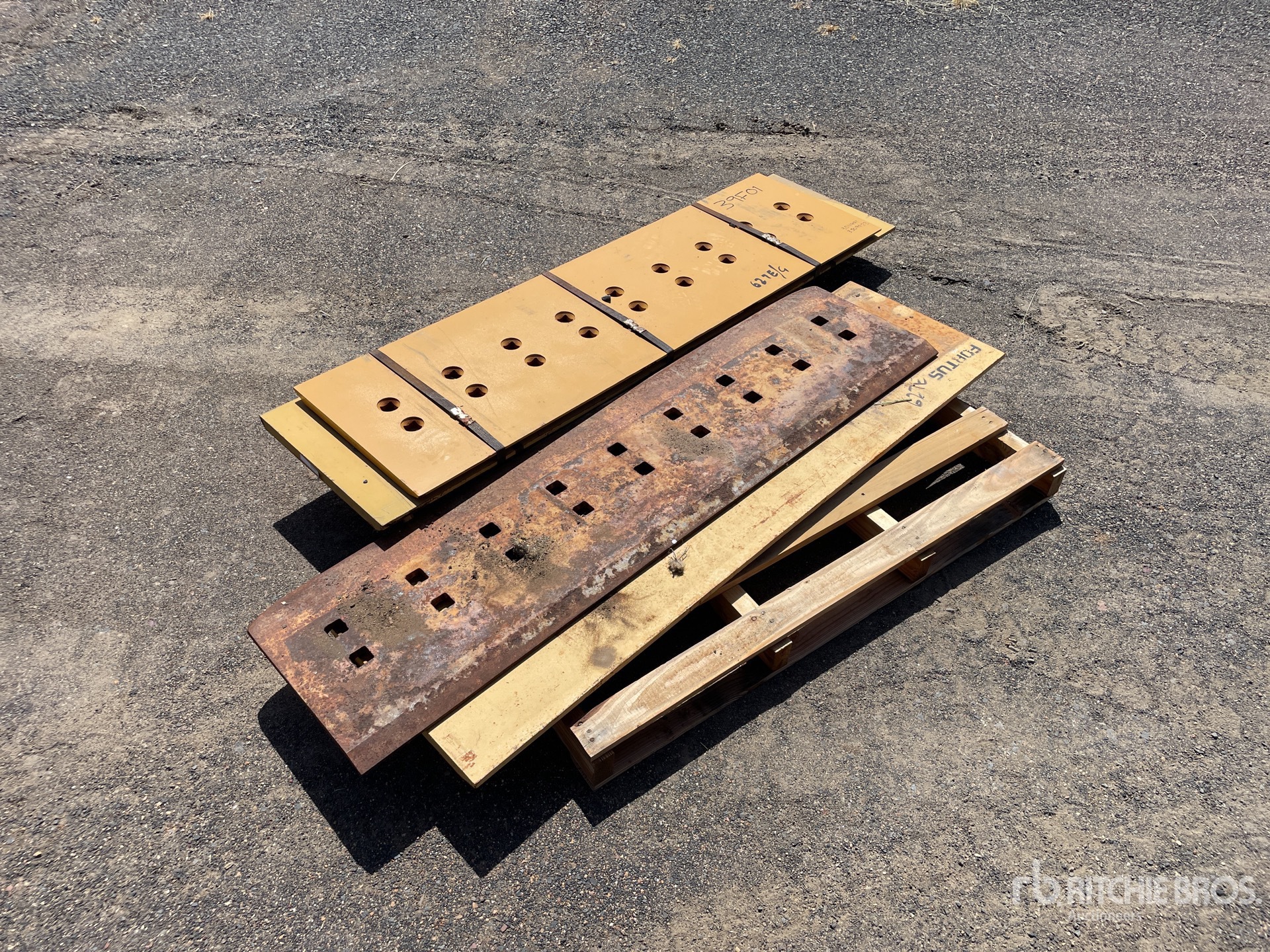 General Appearance with Zdjęcie, lewy dolny róg