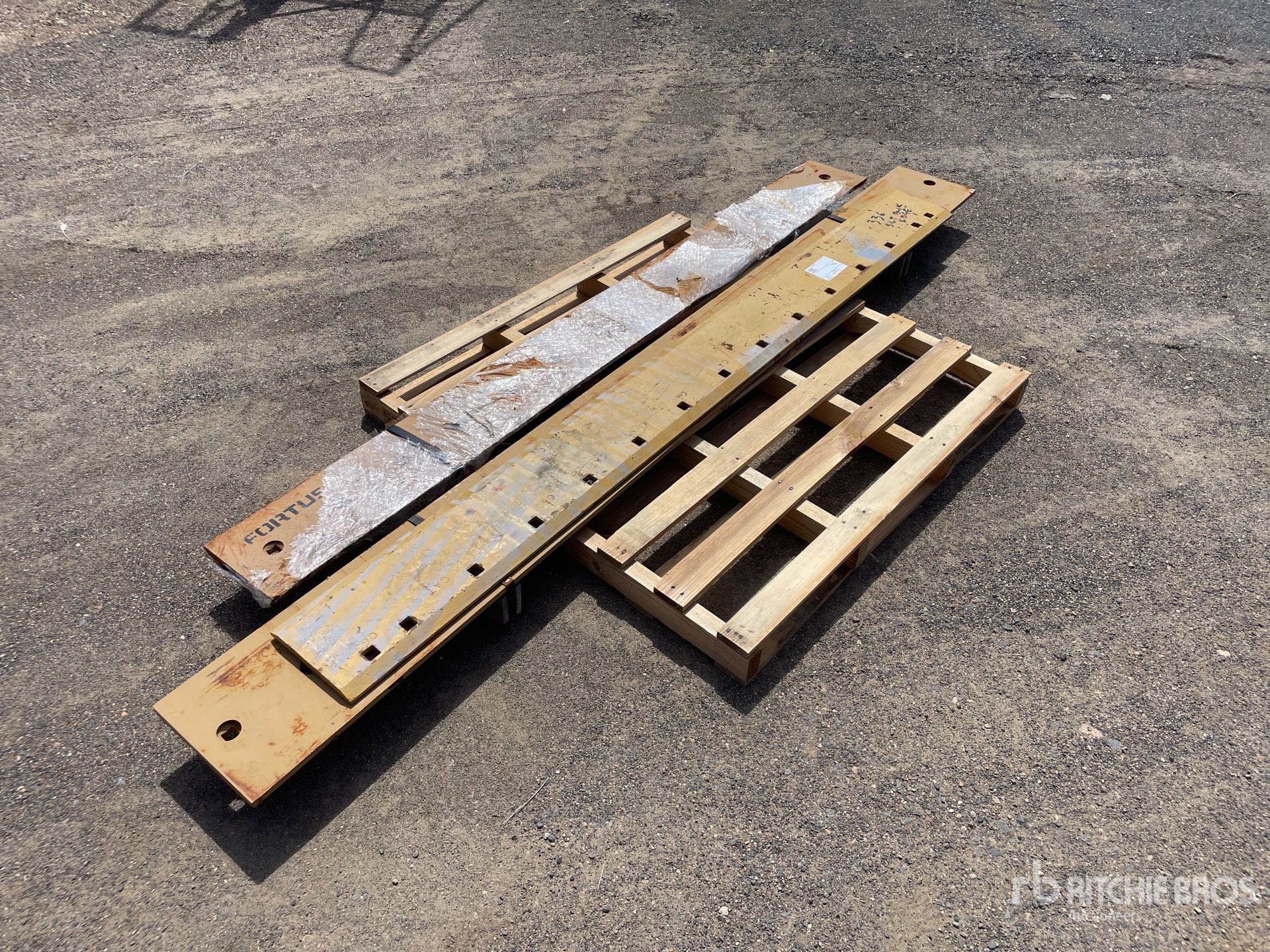 General Appearance with Zdjęcie, lewy dolny róg