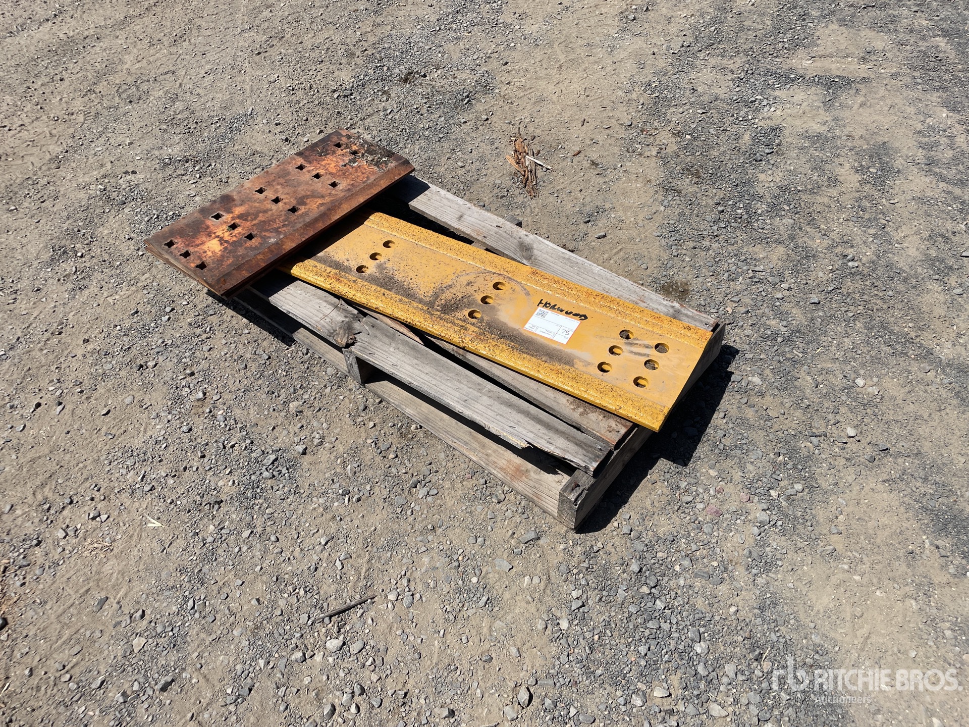 General Appearance with Zdjęcie, lewy górny róg