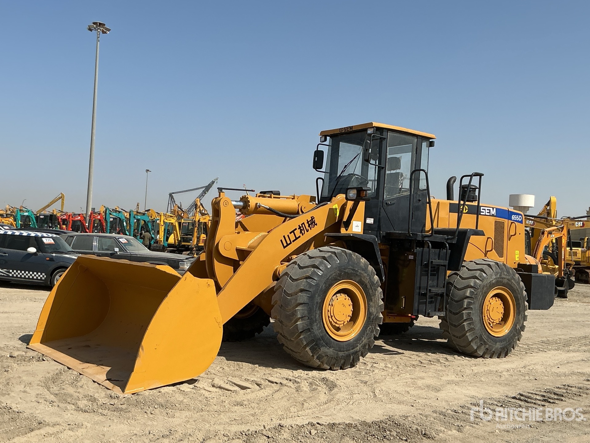 General Appearance with Picture, Left Front Corner