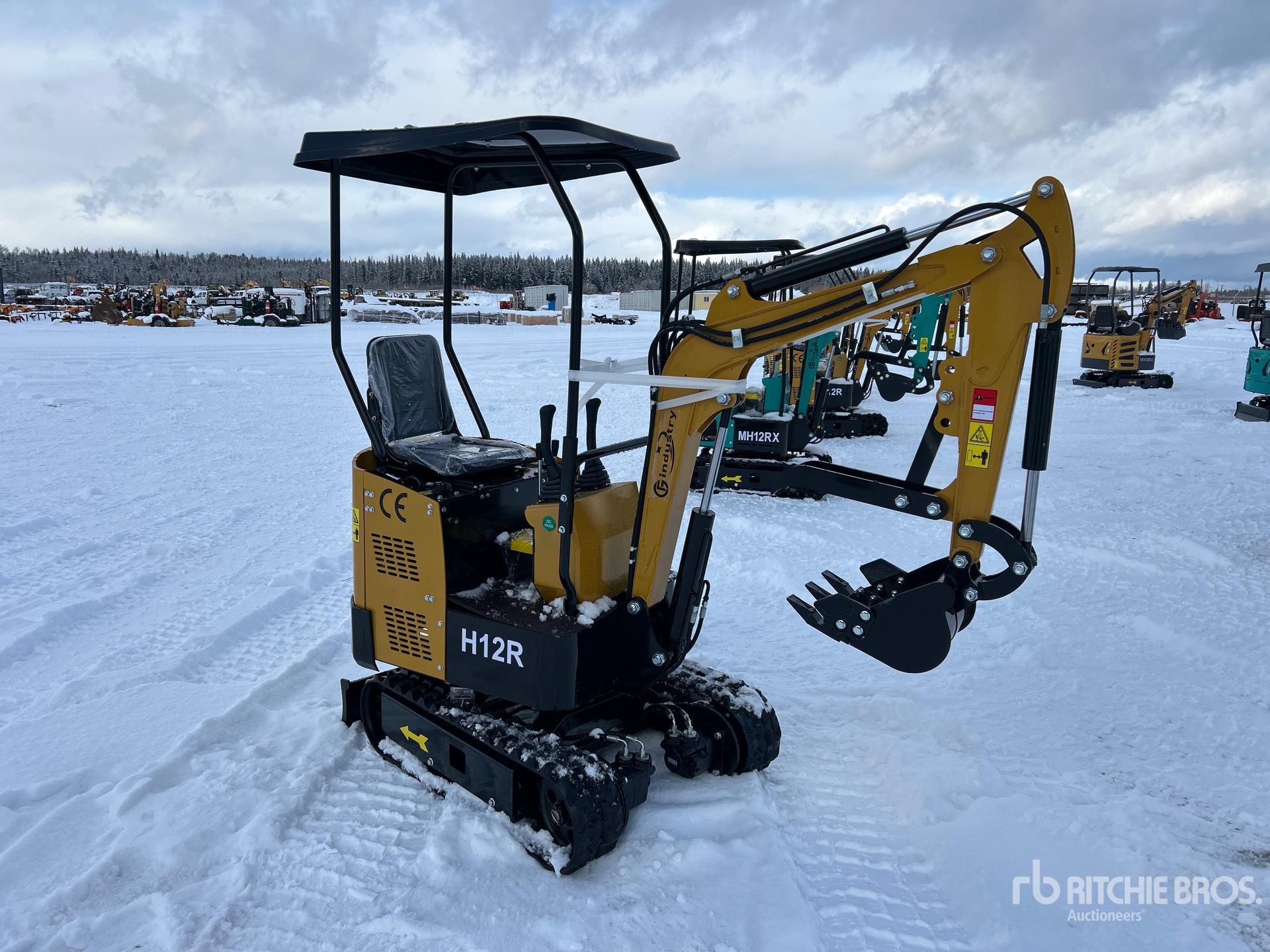 General Appearance with Picture, Right Front Corner