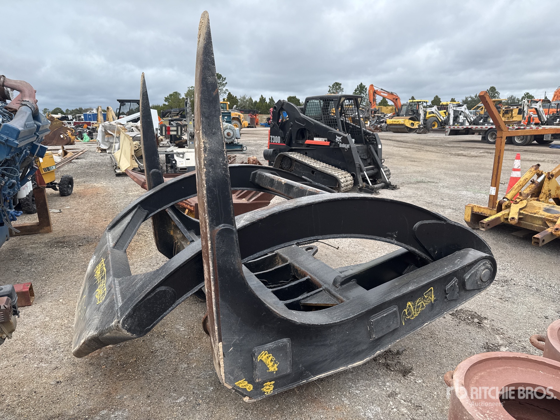 General Appearance with Foto, angolo anteriore sinistro