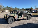 General Appearance with Paint