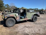 General Appearance with Paint