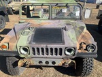 General Appearance with Paint