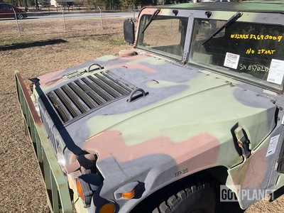 General Appearance with Paint