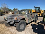 General Appearance with Paint
