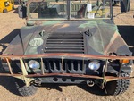 General Appearance with Paint