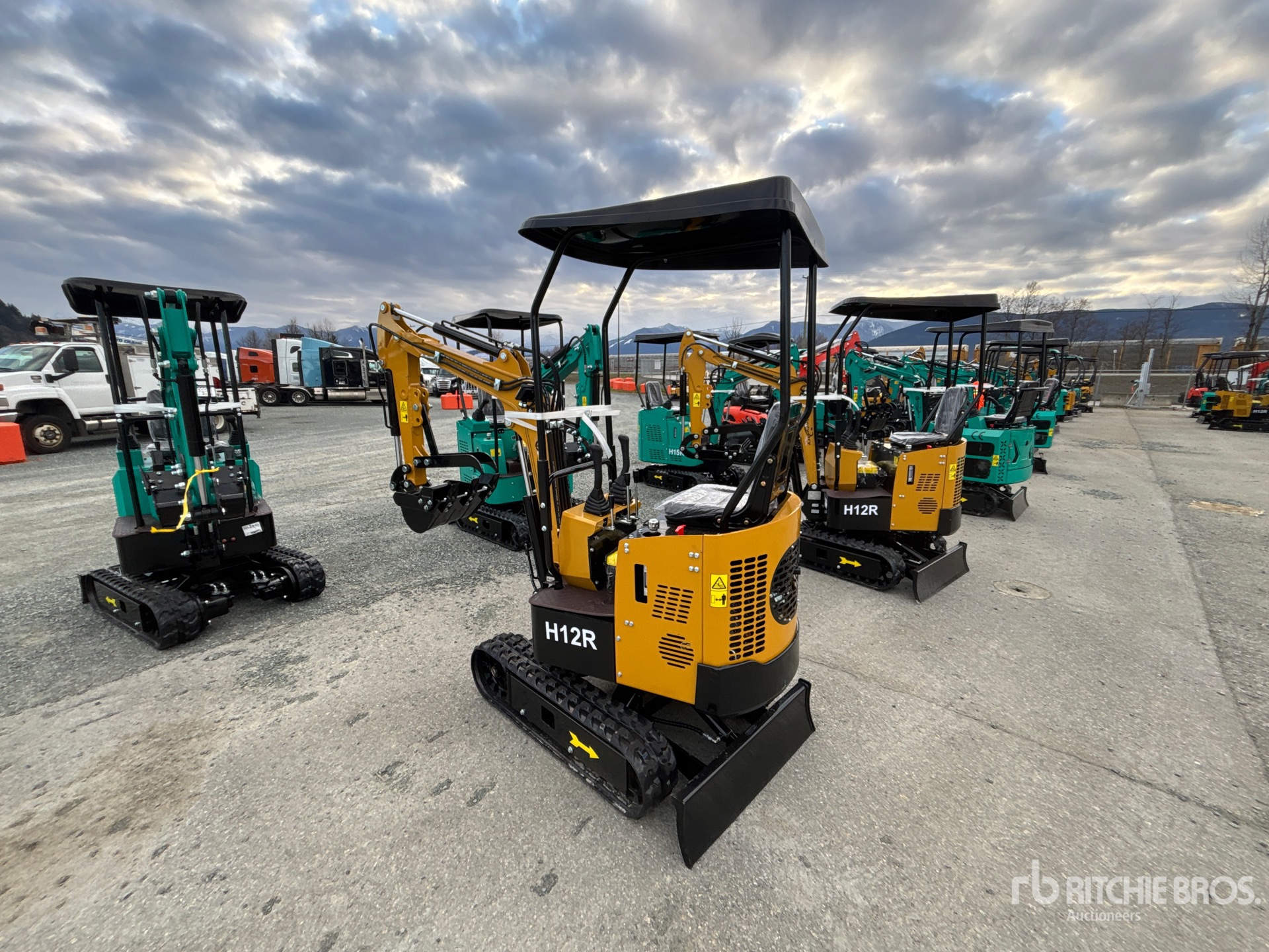 General Appearance with Picture, Left Rear Corner