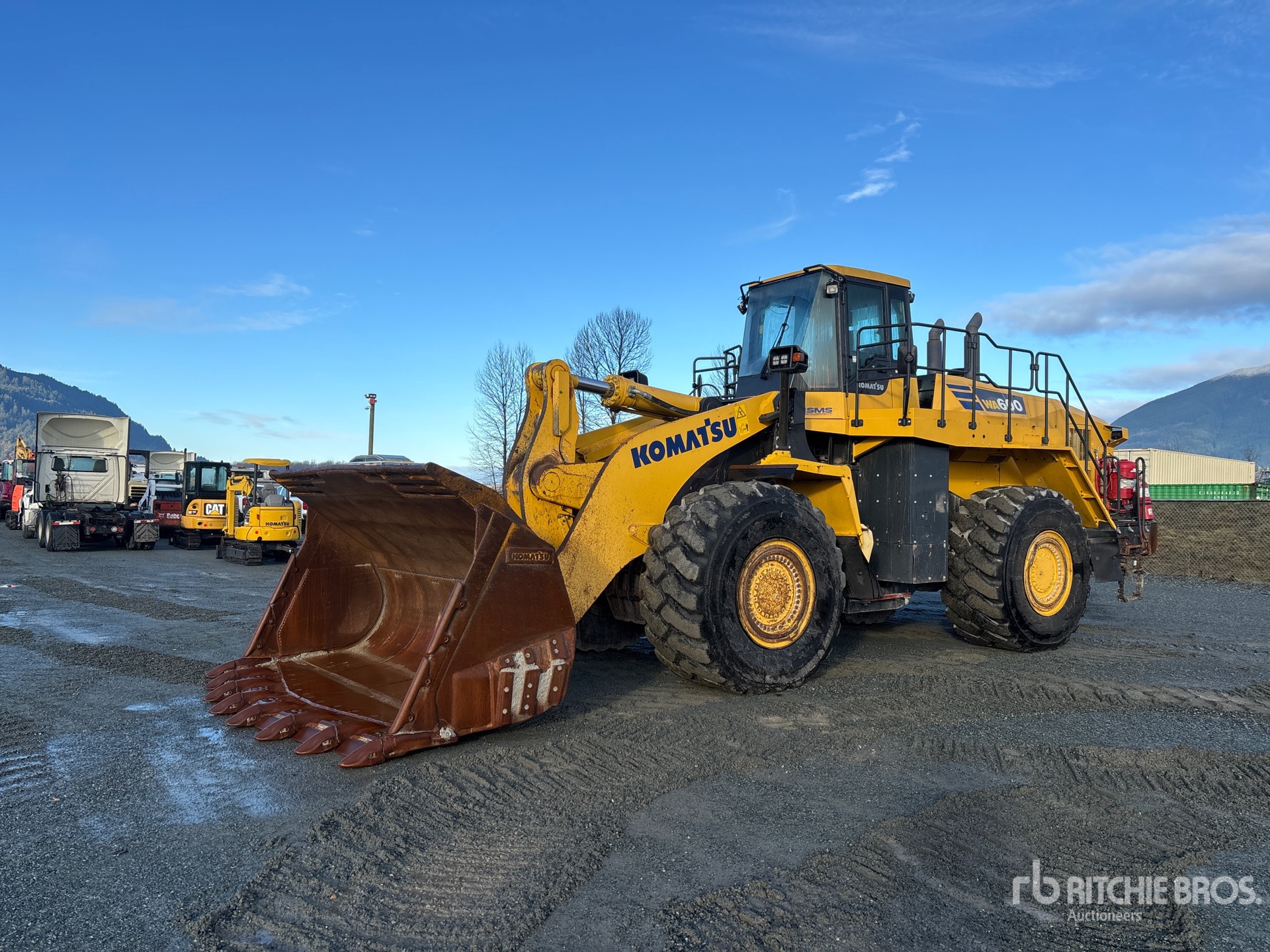 General Appearance with Spin