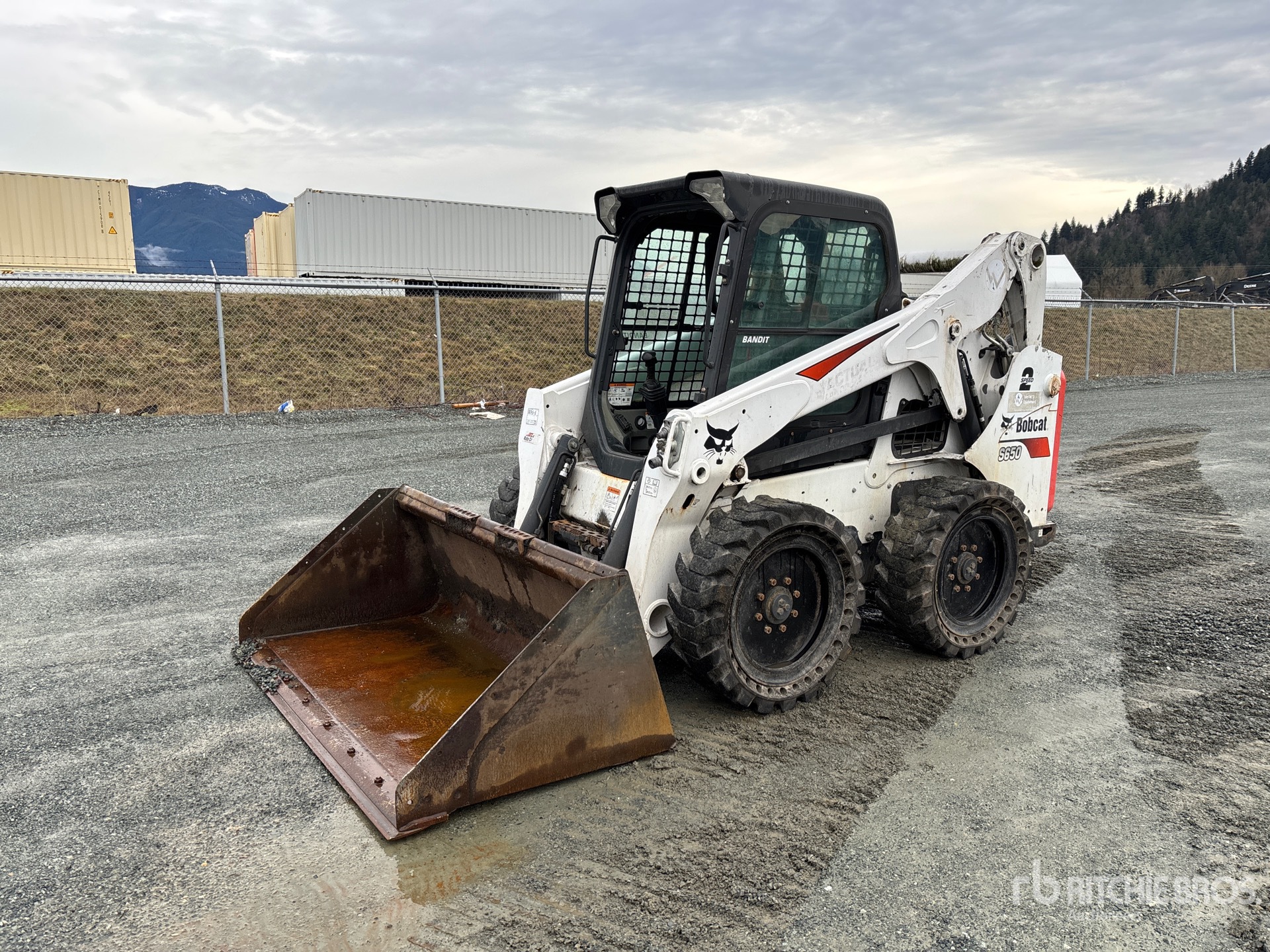 General Appearance with Spin