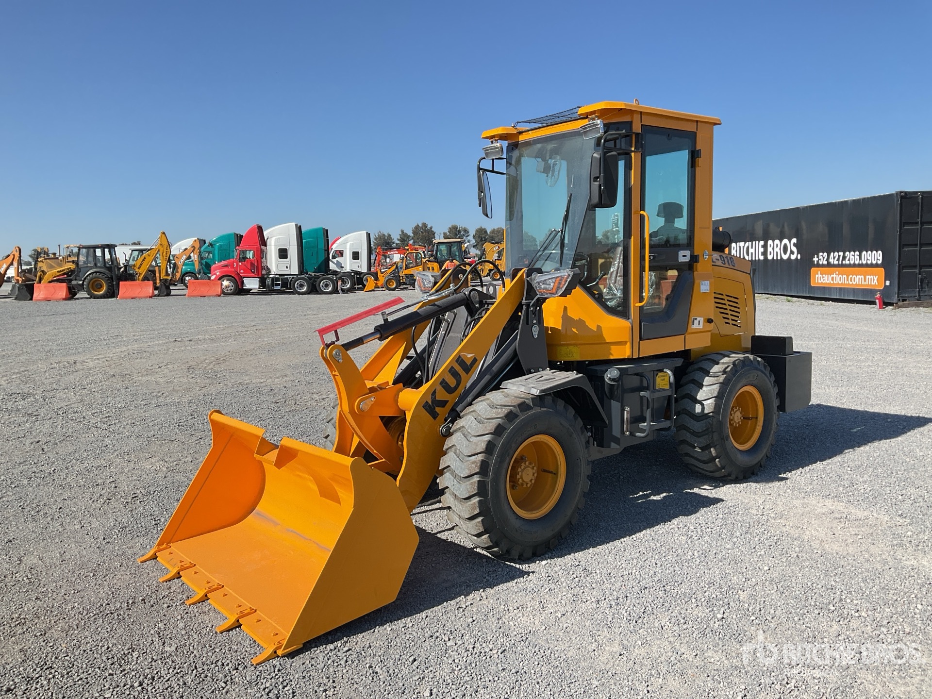 General Appearance with Spin