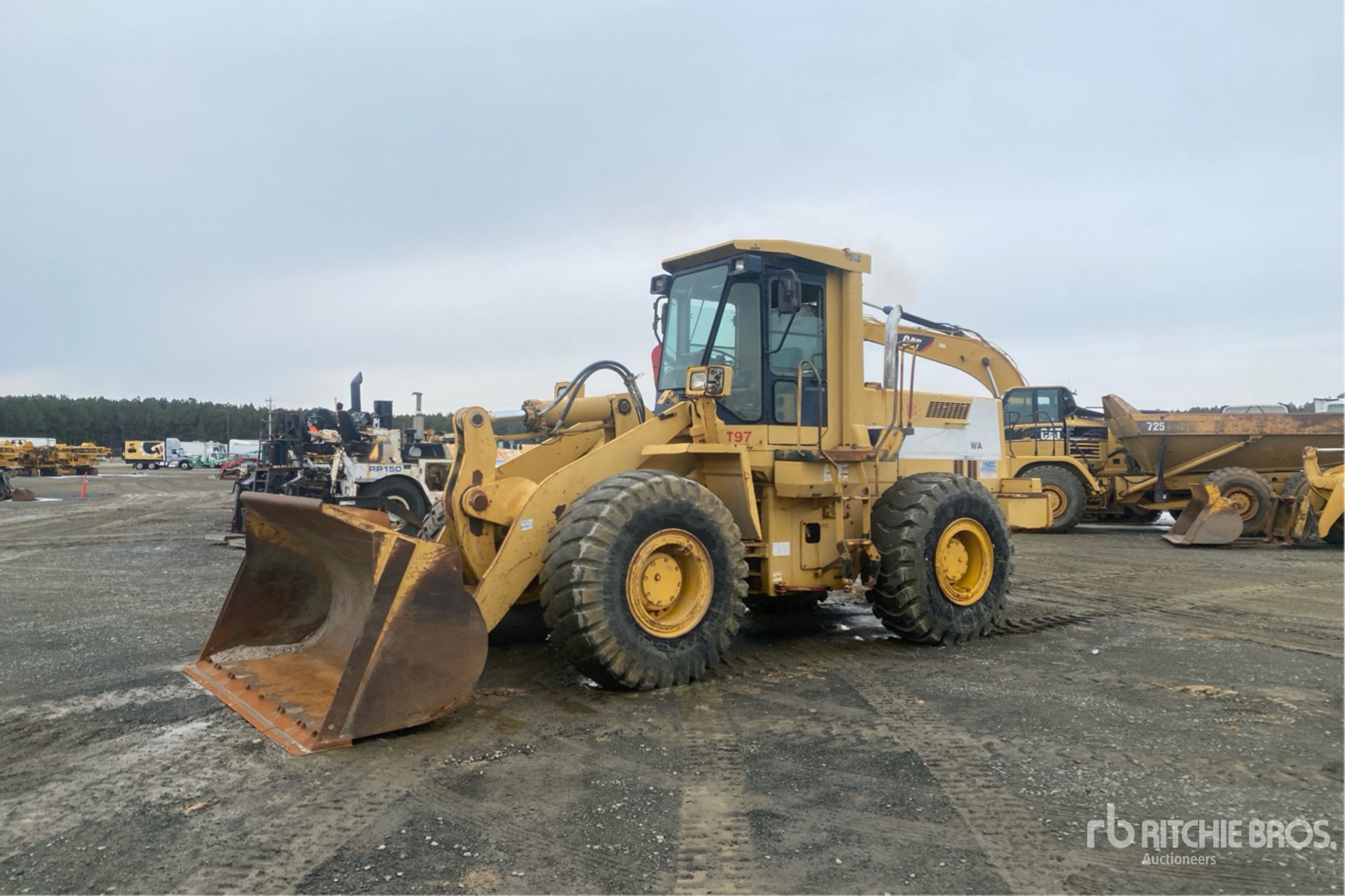 General Appearance with Spin