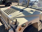 General Appearance with Paint