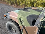 General Appearance with Paint